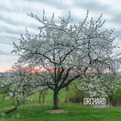 Orchard Serendipity CD Cover