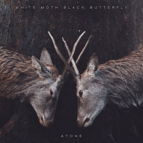White Moth Black Butterfly Atone CD Cover