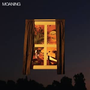 Moaning Moaning CD Cover