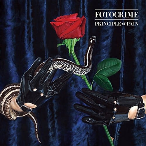 Fotocrime Principle Of Pain CD Cover