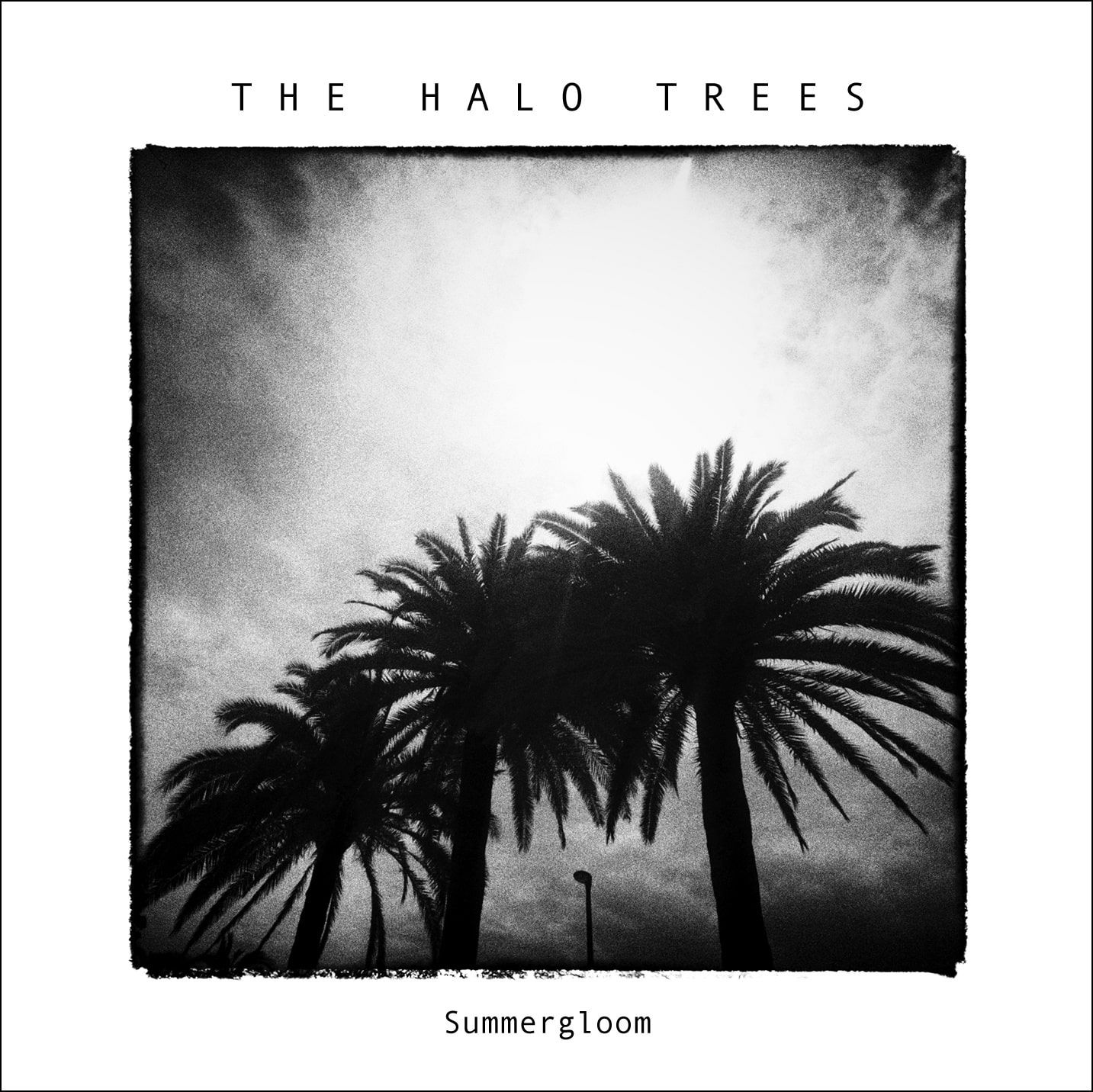 The Halo Trees Summergloom Cover